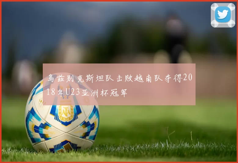 乌兹别克斯坦队击败越南队夺得2018年U23亚洲杯冠军