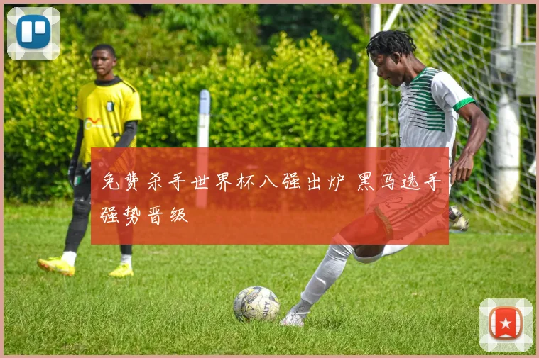 免费杀手世界杯八强出炉 黑马选手强势晋级