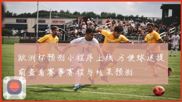 欧洲杯预测小程序上线 方便球迷提前查看赛事赛程与结果预测