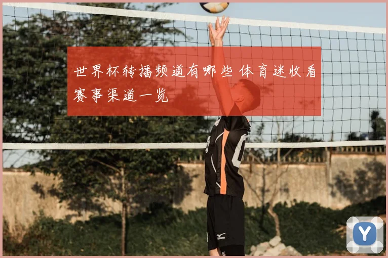 世界杯转播频道有哪些 体育迷收看赛事渠道一览
