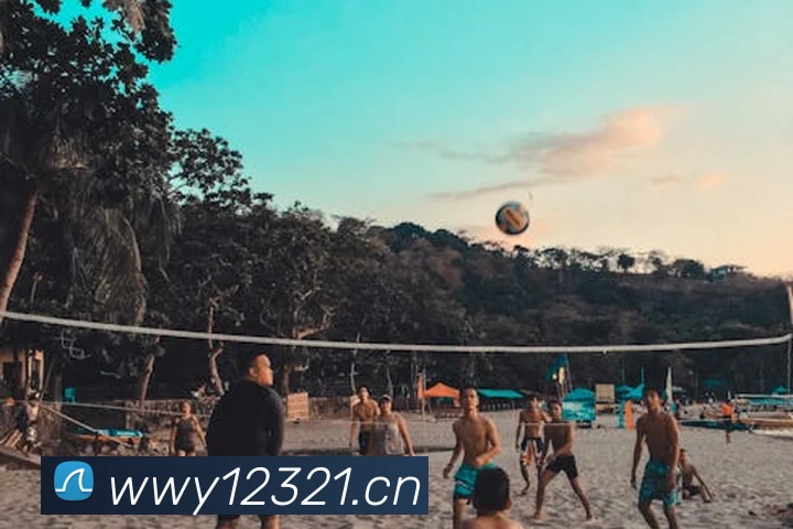 玩滚球的安全平台app官网平台生态图